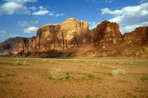 Sparse tussock and rock formations in the Wadi Rum desert von Sami Sarkis Photography