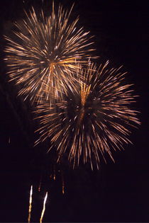 Fireworks light up the sky while celebrating Bastille Day by Sami Sarkis Photography