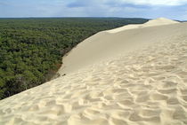 Landes Forest seen from the Great Dune of Pyla von Sami Sarkis Photography