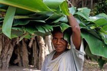 Woman holding banana tree leaves on her head von Sami Sarkis Photography