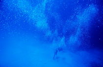 Two divers swimming in deep blue waters. von Sami Sarkis Photography