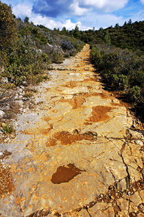 Stony path  surrounded by shrubs in a forest. von Sami Sarkis Photography