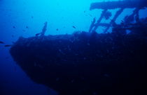 Le Grec shipwreck stern von Sami Sarkis Photography