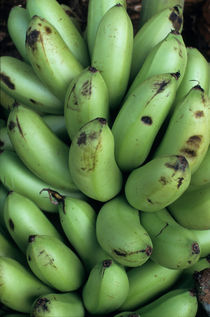 Banana bunches for sale at a market at Port Vila by Sami Sarkis Photography