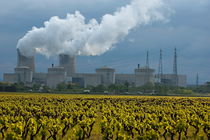 Vineyard at spring outside of the Tricastin Nuclear Power Plant von Sami Sarkis Photography