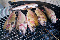 Trout being grilled on a hot barbeque. von Sami Sarkis Photography