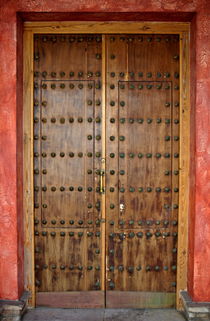 Spiked wooden door by Sami Sarkis Photography