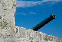 Cannon protruding from the ramparts of the Castillo Real de la Real Fuerza on Plaza de Armas by Sami Sarkis Photography