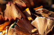 Pile of discarded pencil shavings. von Sami Sarkis Photography