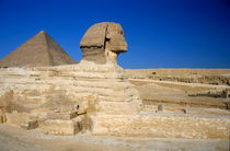 Profile of the Great Sphinx with the Great Pyramid of Giza in the background by Sami Sarkis Photography