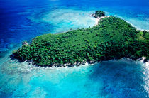 Lush foliage on Mosso Island von Sami Sarkis Photography