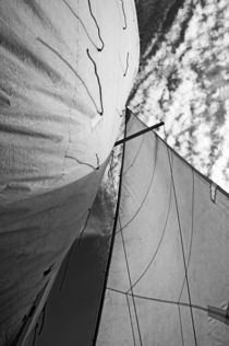 Cloudy sky seen through billowing white sails. by Sami Sarkis Photography