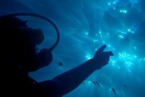 A scuba diver pointing the sunbeams penetrating the water's surface. by Sami Sarkis Photography