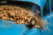 Classic American car with trailer full of garlic for sale in Vinales by Sami Sarkis Photography