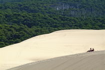 Tourists sitting over the Great Dune of Pyla with the Landes forest visible in the background von Sami Sarkis Photography