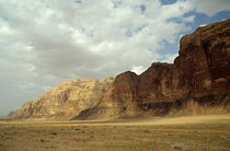 Sparse tussock and rock formations in the Wadi Rum desert von Sami Sarkis Photography