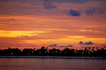 Silhouetted palm lined beach against an impressive sunset by Sami Sarkis Photography