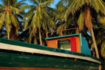 Colorful fishing boat surrounded by palm tress von Sami Sarkis Photography