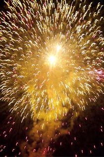 Fireworks light up the sky while celebrating Bastille Day von Sami Sarkis Photography