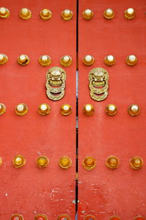Heavy ornate door knockers on a gate by Sami Sarkis Photography