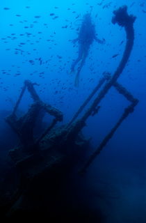 Diver exploring the Dalton Shipwreck with a school of fish swimming in the background by Sami Sarkis Photography