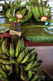Banana bunches for sale at a market at Port Vila by Sami Sarkis Photography