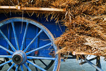 Blue cart carrying a full load of straw von Sami Sarkis Photography