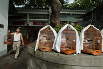 Market vendor selling caged birds by Sami Sarkis Photography