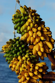 Bunches of bananas von Sami Sarkis Photography