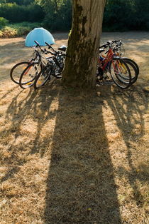 Bicycles leaning against a tree trunk with tent in background. by Sami Sarkis Photography