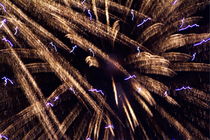 Fireworks light up the sky while celebrating Bastille Day by Sami Sarkis Photography