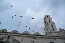 Birds flying above the basilica and the monastery of Saint Francis of Assisi (Basilica Menor de San Francisco de Asis) in Havana von Sami Sarkis Photography