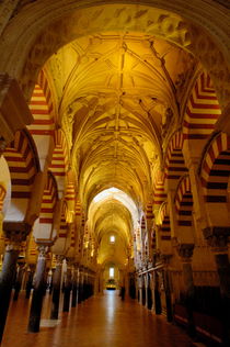 Ceilings inside the Catedral de Cordoba von Sami Sarkis Photography