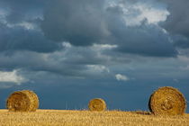 Hay bales in harvested corn field by Sami Sarkis Photography