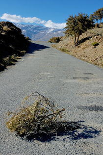 Road 411 above Capileira village in the Alpujarras mountains by Sami Sarkis Photography