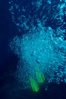 Diver's swimfin poking out from under his air bubbles von Sami Sarkis Photography