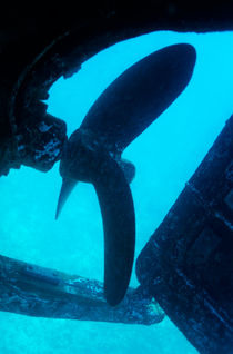 View of the propeller and rudder of a wrecked ship underwater. by Sami Sarkis Photography