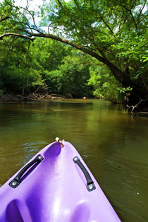 Purple canoe on the Eyre river by Sami Sarkis Photography