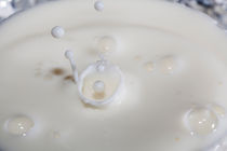 Milk splash von Graham Prentice