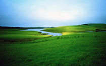 Green Pastures Catlins South Island New Zealand  von Kevin W.  Smith