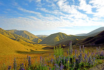 Lindis Pass South Island New Zealand von Kevin W.  Smith