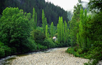 Blacks Point Reefton West Coast New Zealand by Kevin W.  Smith