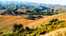 Summertime Central Otago New Zealand by Kevin W.  Smith