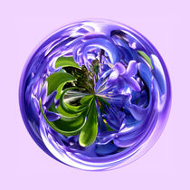 Bluebell sphere by Robert Gipson