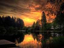 Golden Light On Loch Ard von Amanda Finan