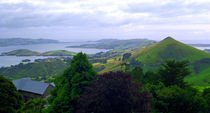 Otago Peninsular South Island New Zealand by Kevin W.  Smith