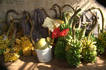 Bunches of Bananas Hanuman Temple von serenityphotography