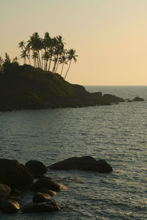 Palm Trees on the Point Palolem von serenityphotography