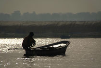 Perched on a Boat von serenityphotography