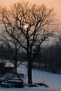 Sonnenfänger von Jürgen Mayer